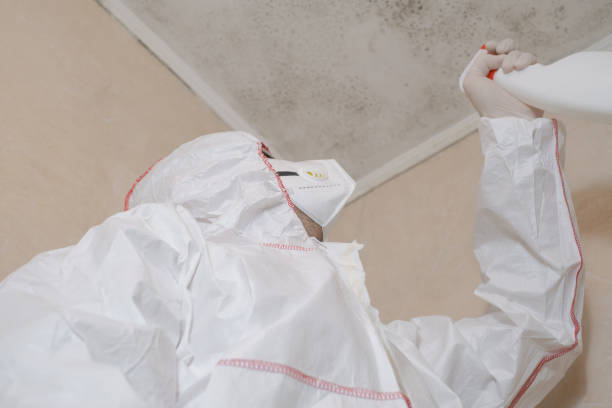 Home Mold Removal in Monticello, MS